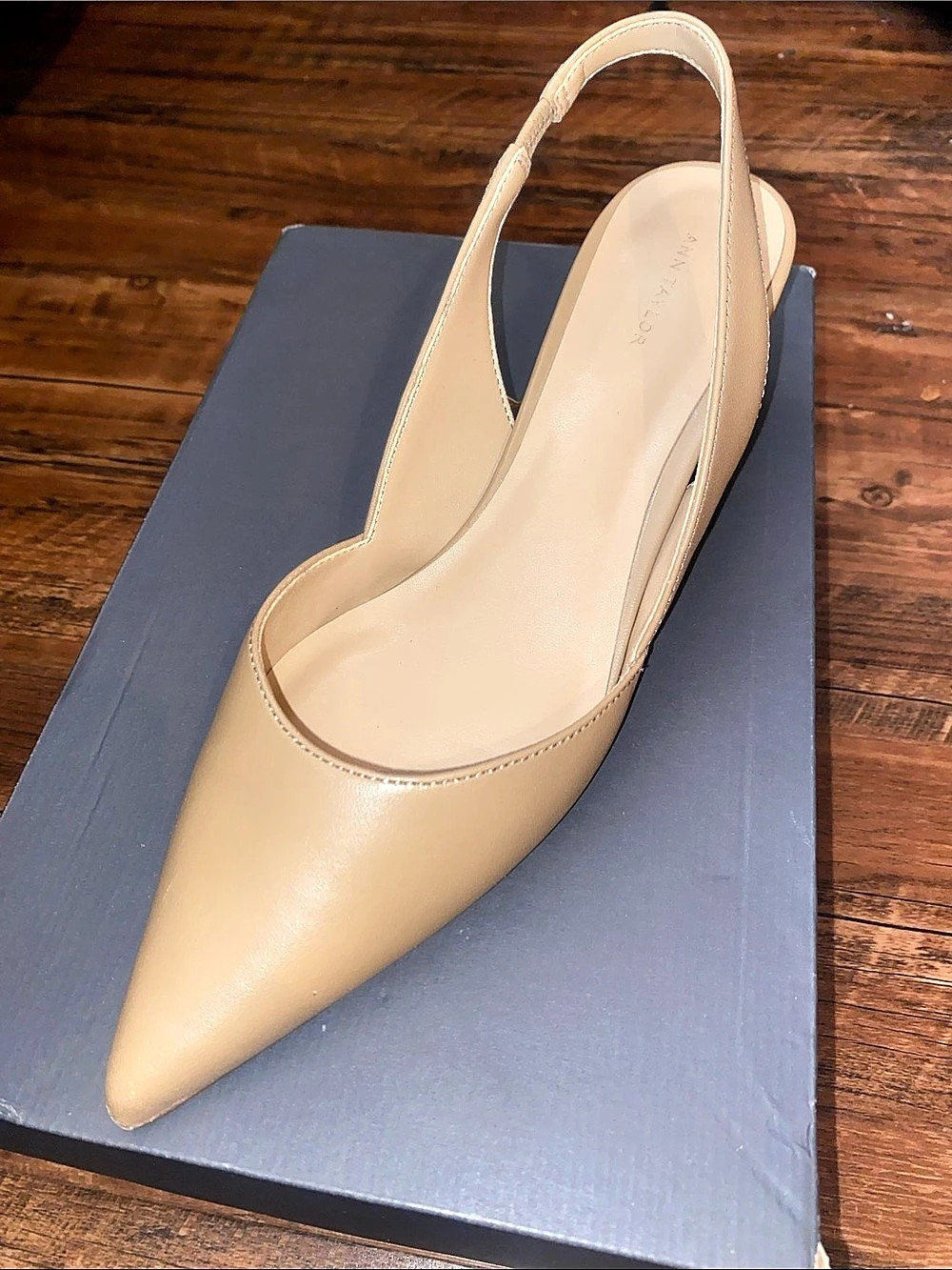 Ann Taylor Pointed-Toe Slingback Heels in Brown US 8